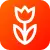 Logo Flowwow