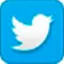 Logo Twitter